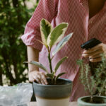 How to Make Homemade Bug Spray
