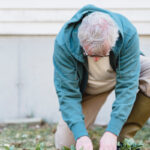 Benefits of Companion Planting