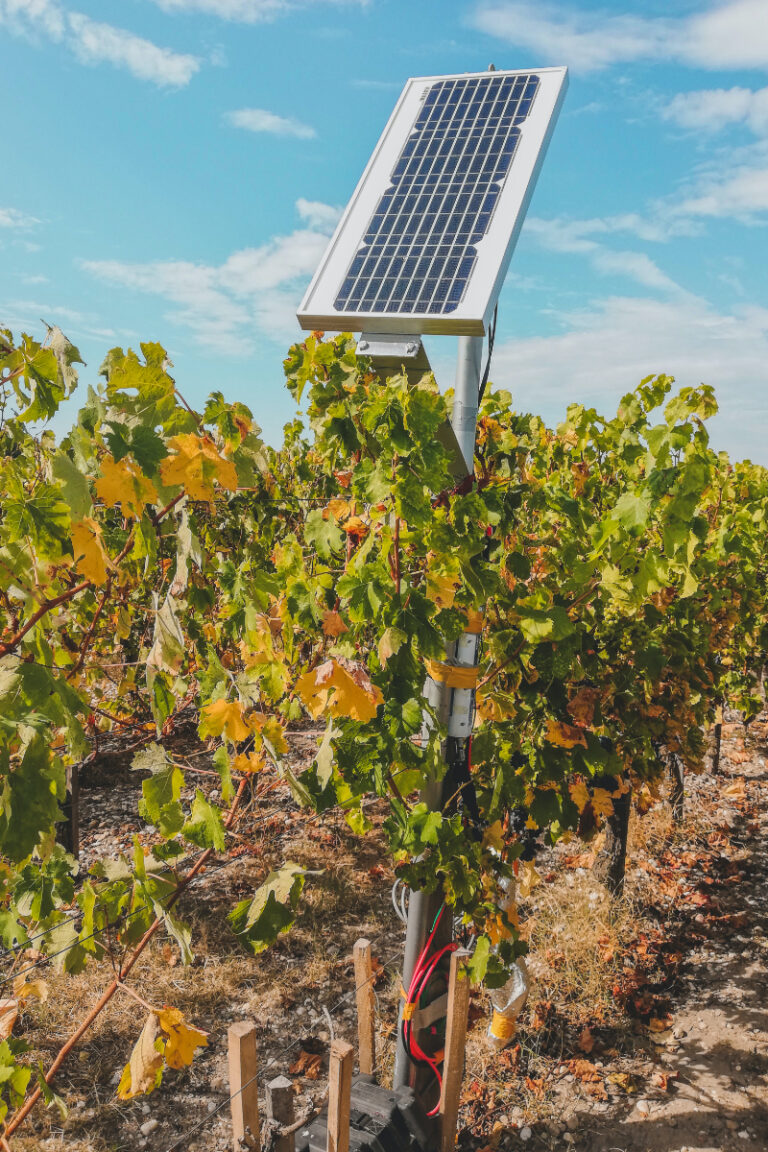 Homestead Solar Panels