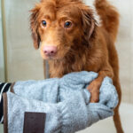 Natural Pet Shampoo
