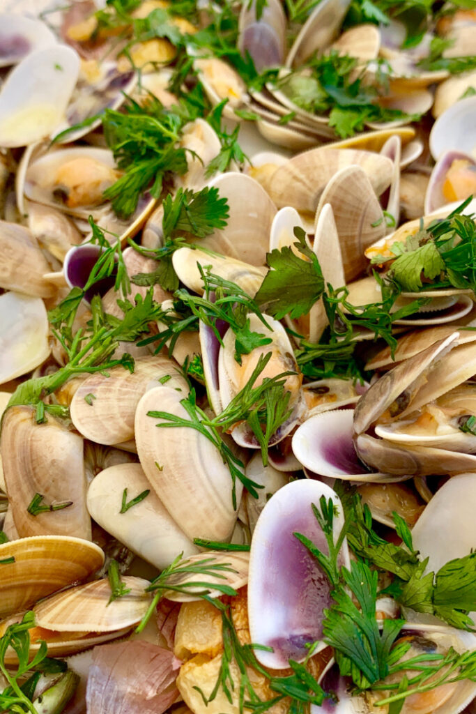 Can You Compost Clam Shells