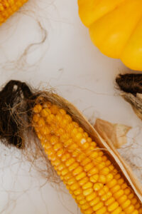 Can You Compost Corn Cobs?