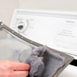 Can You Compost Dryer Lint