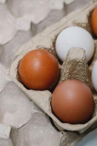 Can You Compost Egg Cartons