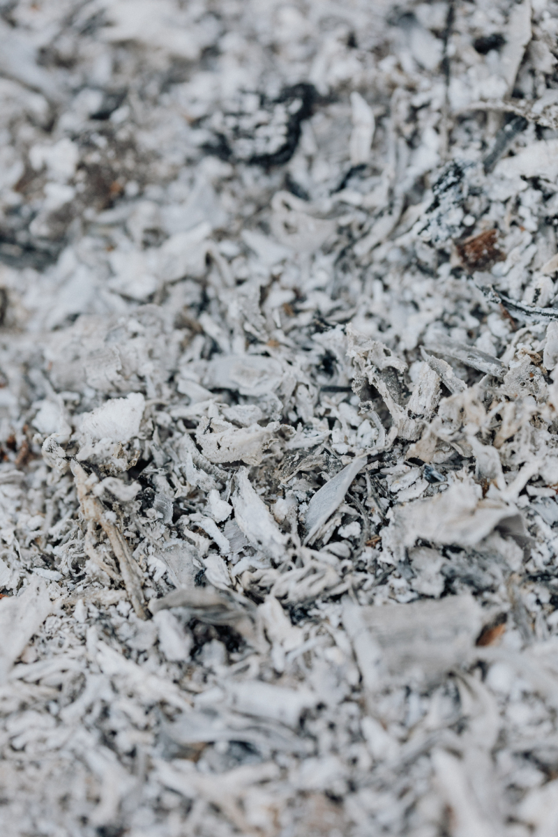 Can You Compost Cereal Boxes? The Answer Is Here!