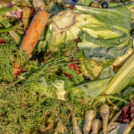 Can You Use Too Much Compost?