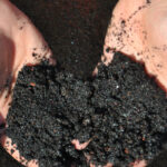 Compost is Too Wet