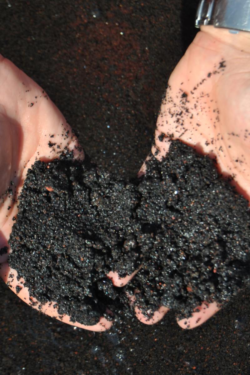 Compost is Too Wet Best Solutions With Easy Steps