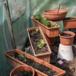 Composting Tumbler
