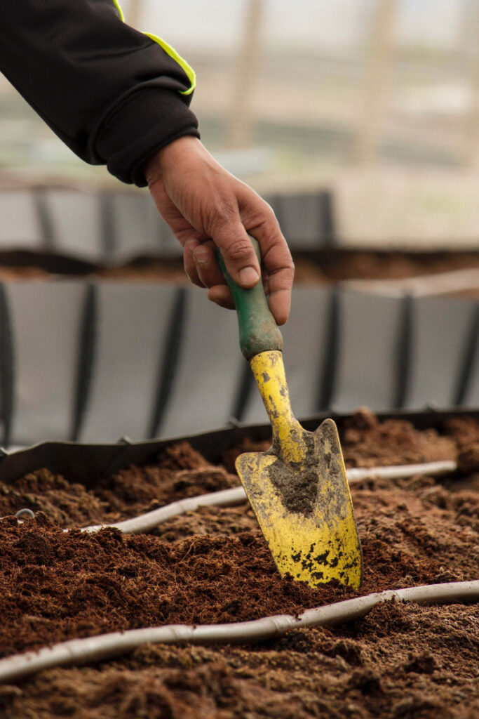 Composting Tumbler Tips