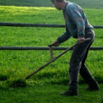 Do Grass Clippings Make Good Compost