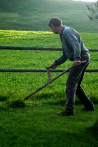 Do Grass Clippings Make Good Compost