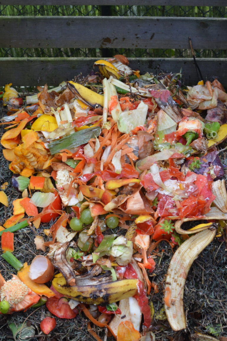 How to Speed Up Compost Pile