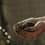 Loam vs Compost
