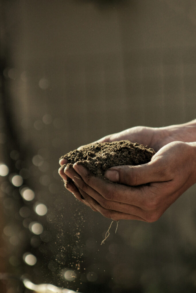 Loam vs Compost