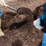 Topsoil vs Compost