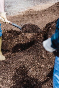 Topsoil vs Compost