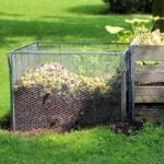Does Compost Need Sun?