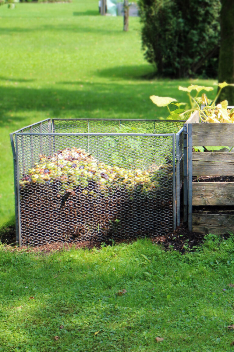 Does Compost Need Sun?