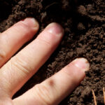 How Hot Does Compost Get