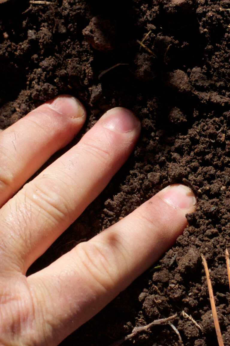 How Hot Does Compost Get