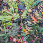 What Can't You Compost?