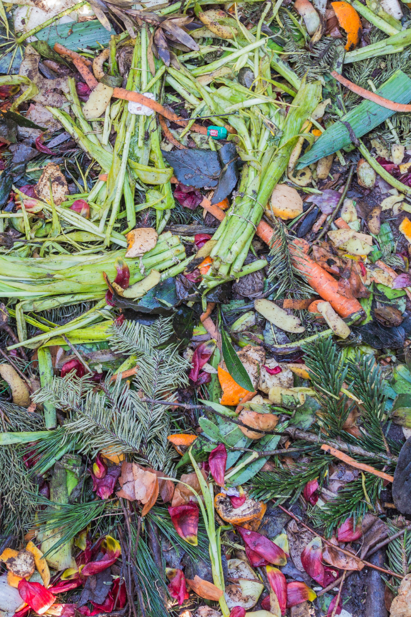 What Can't You Compost? Live Your Best Homestead Life
